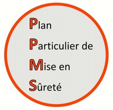 Logo PPMS gd.jpg