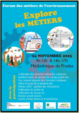 Screenshot 2025-11-24 at 08-24-20 Article 14 11 25-1.pdf.png