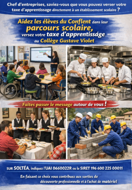 Soutenez l'apprentissage au Collège Gustave Violet(2).png